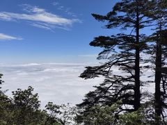 -瓦屋山景区