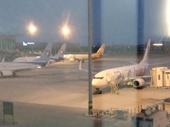 -石家庄正定国际机场-T2航站楼