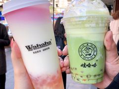 荔枝乳酸钙奶-娃哈哈·奶茶(武林店)