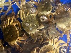 -阳澄湖大闸蟹·琼灵阁牌品牌连锁(吴中总店)