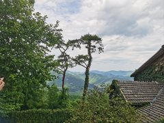 -莫干山风景区