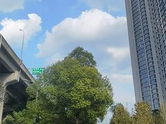 -杨记隆府重庆江湖菜(大悦城店)
