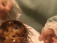 -海胆小馆(东北水饺·春柳店)