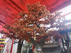 -杭州宋城