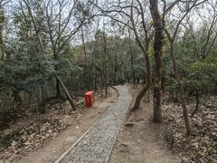 -上海佘山国家森林公园天马山园