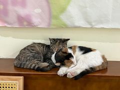 -大象厨房(重庆道店)