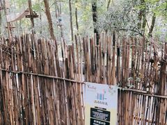 -WeLope紫金山探险公园