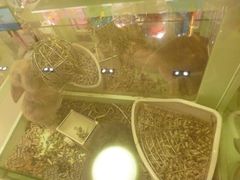 -龙猫仔乐园(惠福东路店)