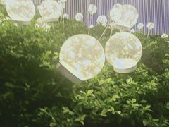 -万达广场(南宁青秀店)