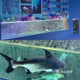 🉑爱治愈系小动物谁能不爱？周末亲子游宝藏地，济南萌宠乐园