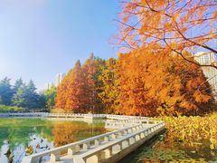 -白塘生态植物园