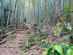 -会稽山峡洞漂流-上青古道