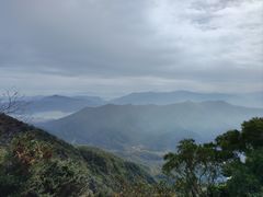 -梧桐山风景名胜区