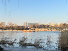 -野鸭湖国家湿地公园