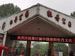 -洛阳市牡丹公园