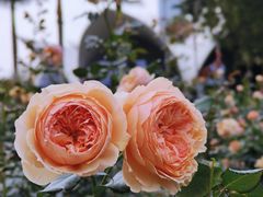 -人民公园(罗湖区)