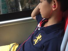 -广州都市观光巴士(粤陶巴)