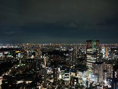 -六本木新城展望台(东京城市景观)