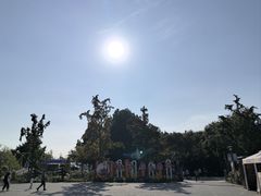 -大兴滨河森林公园