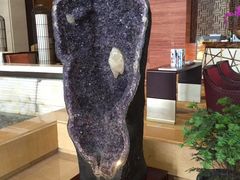 -红豆杉庄会议中心