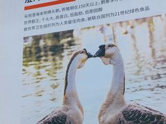 -陆记鹅庄·潮汕菜·狮头鹅(大仟里店)