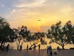 -宝安西湾红树林湿地公园