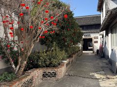 -汤山公园