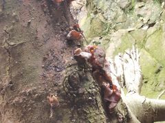 -新疆杭州疗养院·富春山庄