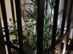 -三一行馆·日式禅意SPA足道·高空观景(解放碑店)