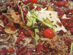 -老板恋上鱼(恒隆广场店)