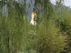 -灵山莲花公园-温泉度假区