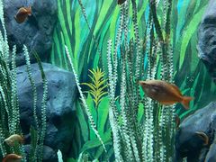 -上海海洋水族馆