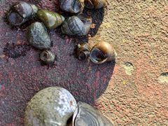 -东钱湖旅游度假区