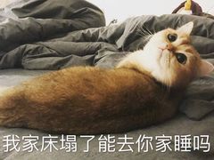 -上海小菜餐厅(理工大学店)