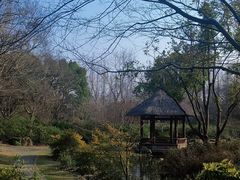 -上海滨江森林公园