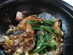 -顺德渔村(梅花园店)