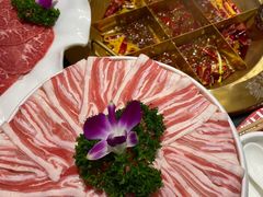 土猪五花肉-豪渝火锅(红谷滩万达店)