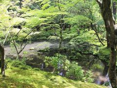 -西芳寺(苔寺)