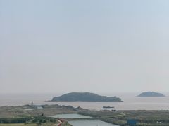 -平湖九龙山旅游度假区