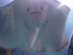 -邯郸海洋世界