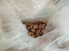 -黄毛鸭脖(汉阳总店)