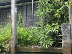 -唐人街(耀华力路)