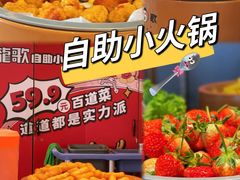 -龍歌自助小火锅(市南金茂湾店)