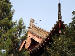 -洛阳白马寺