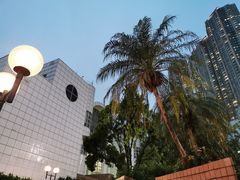 -九龙公园