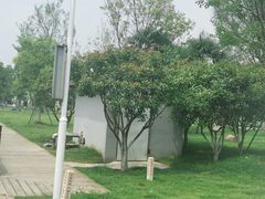 -上海望仙安息园