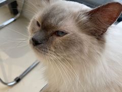 -怪兽屋·羊驼·猫咖·狗咖(俊华广场店)