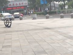 -奥体中心游泳馆