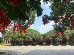 -顺峰山公园