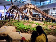 -自贡恐龙博物馆